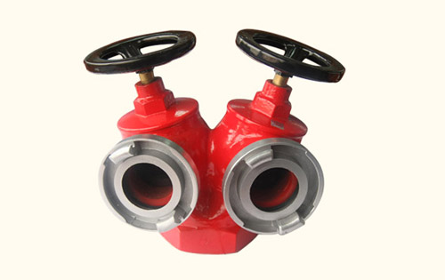 �p�y�p�����҃�(n��i)����˨